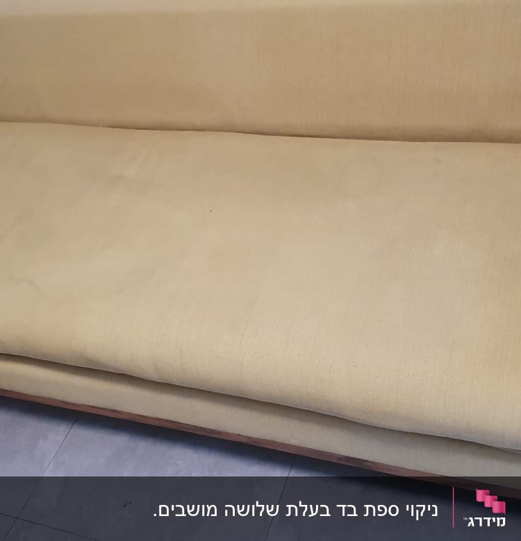 ספה בצבע בז